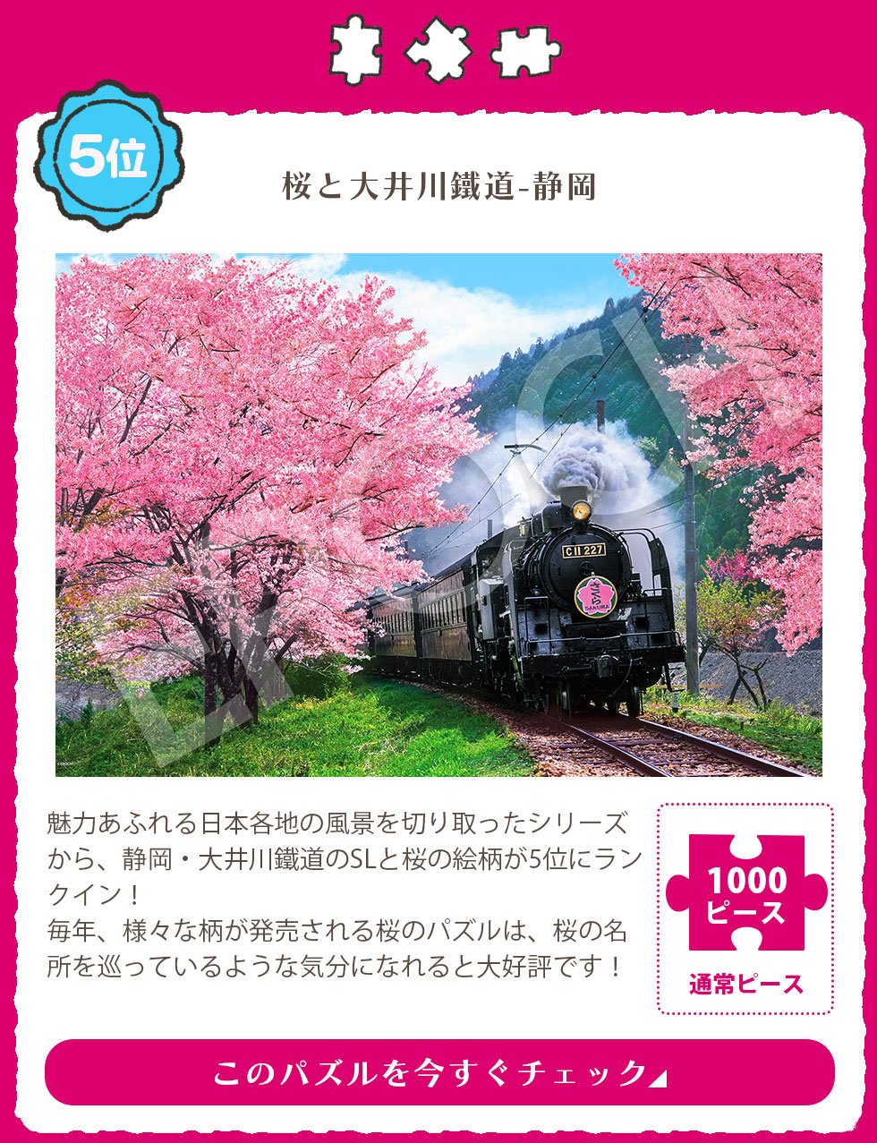風景　桜と大井川鐵道-静岡　1000ピース