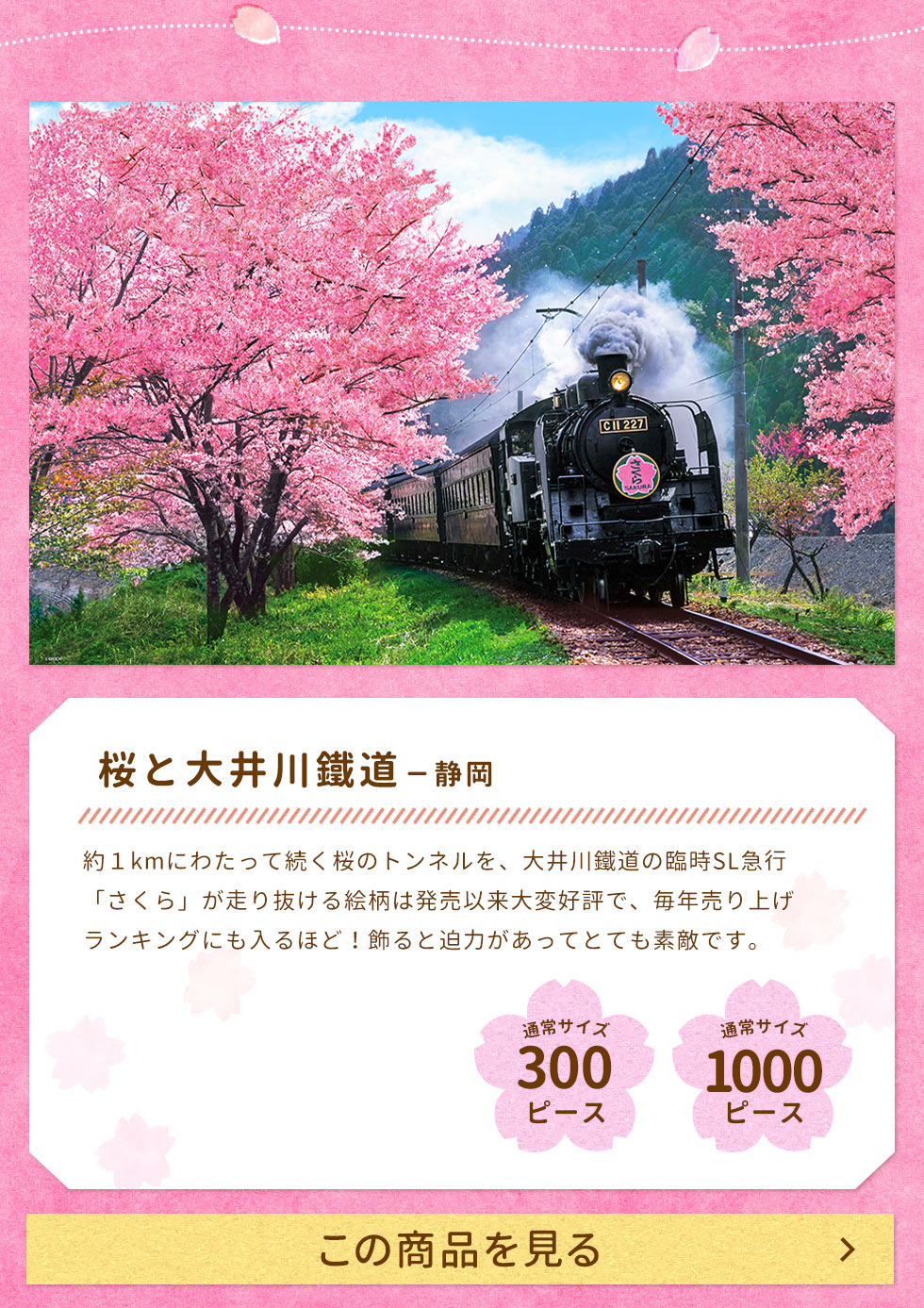 桜と大井川鐵道-静岡（国内風景）