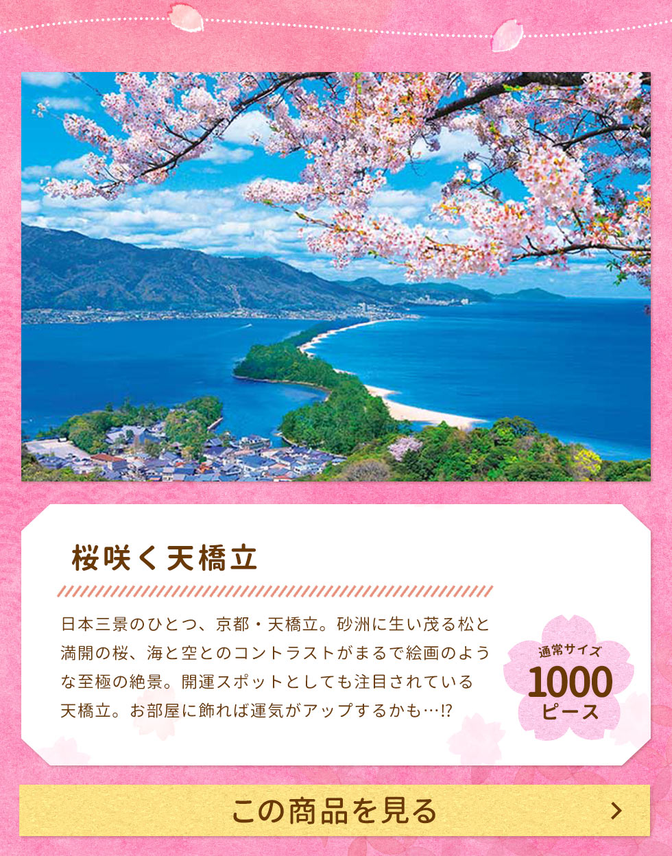 桜咲く天橋立（国内風景）　1000ピース