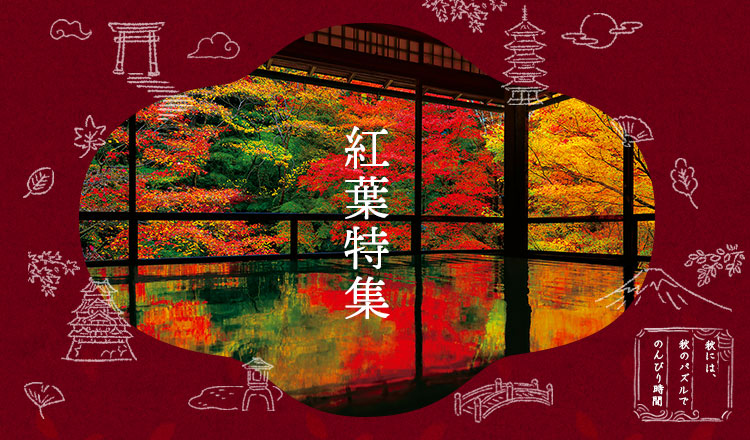 紅葉特集!